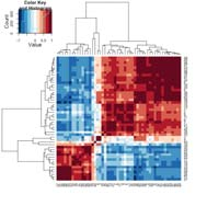 A new workflow, algorithmic approach and software tool to analyze LC/MS and NMR samples in metabolomics